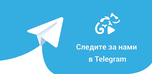 канал в telegram 24.spravo4ki-z.ru
